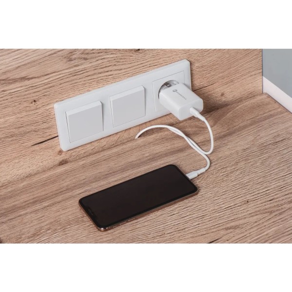 FORCELL Chargeur secteur avec câble USB type C et câble type C - 3A 25W avec fonction de charge PD et QC 4.0