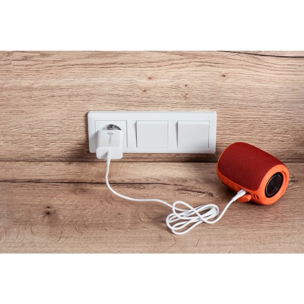 FORCELL Chargeur secteur avec câble USB type C et câble type C - 3A 25W avec fonction de charge PD et QC 4.0