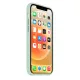 MOXIE BeFluo Coque iPhone 17 vert