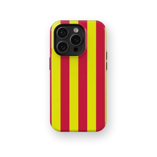 Colorful Stripes Case | Coque de téléphone 3D 2en1 Ultra-résistante