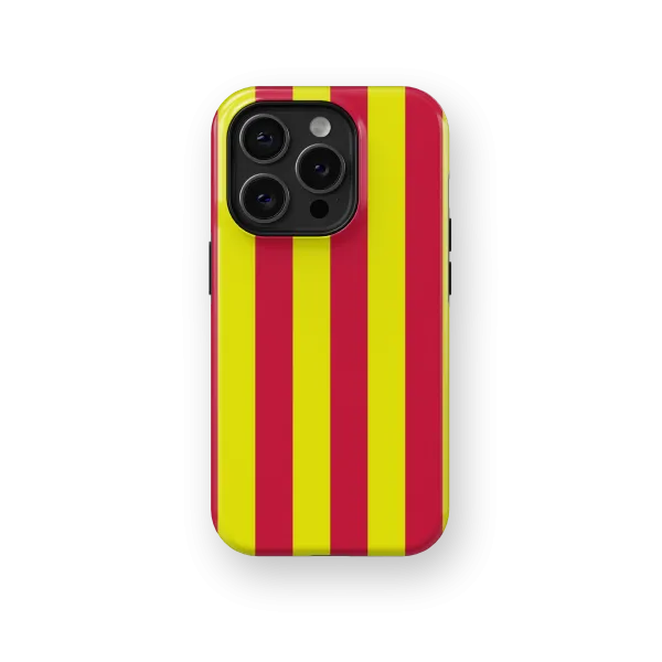 Colorful Stripes Case | Coque de téléphone 3D 2en1 Ultra-résistante