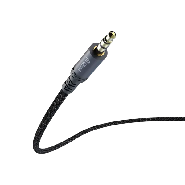 DEVIA Câble USB-C ou Lightning Vers Jack 3,5mm 1m (Noir)