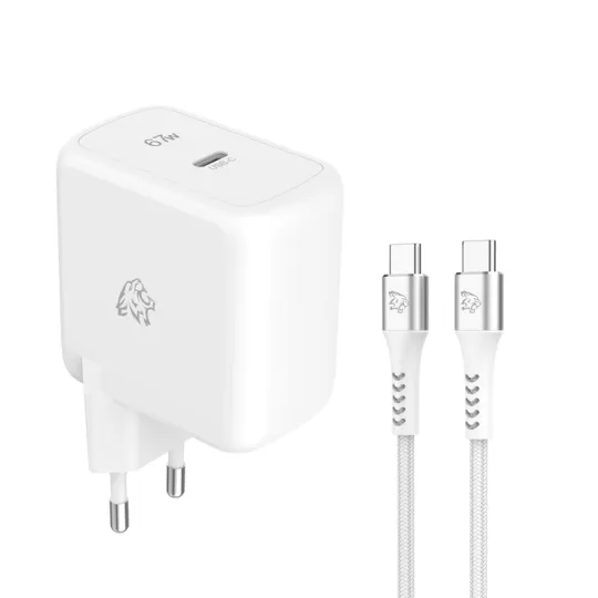 TIGER Power Lite Pack Chargeur Secteur GAN 67W & Câble USB-C 2M